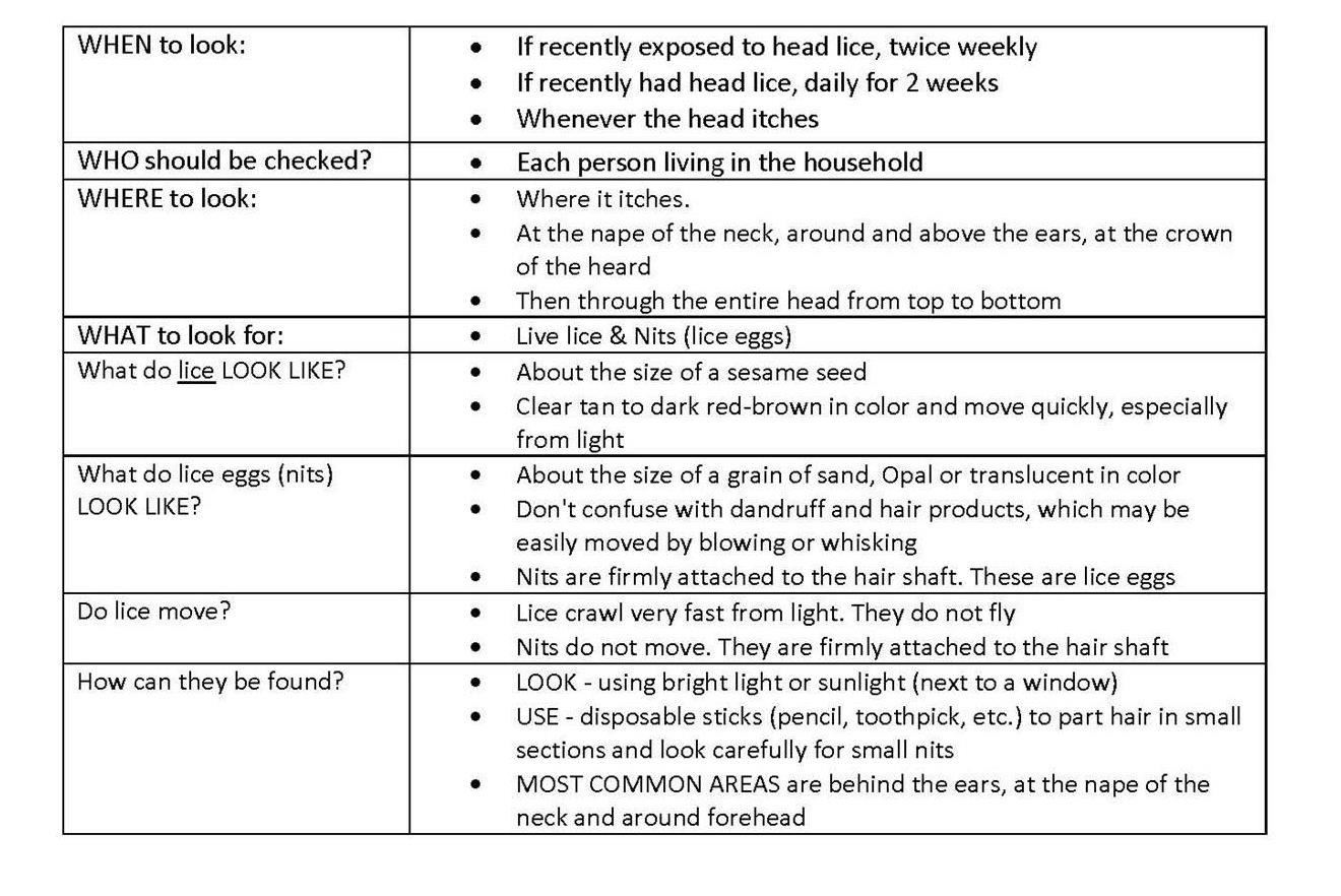 Head Lice FAQs 